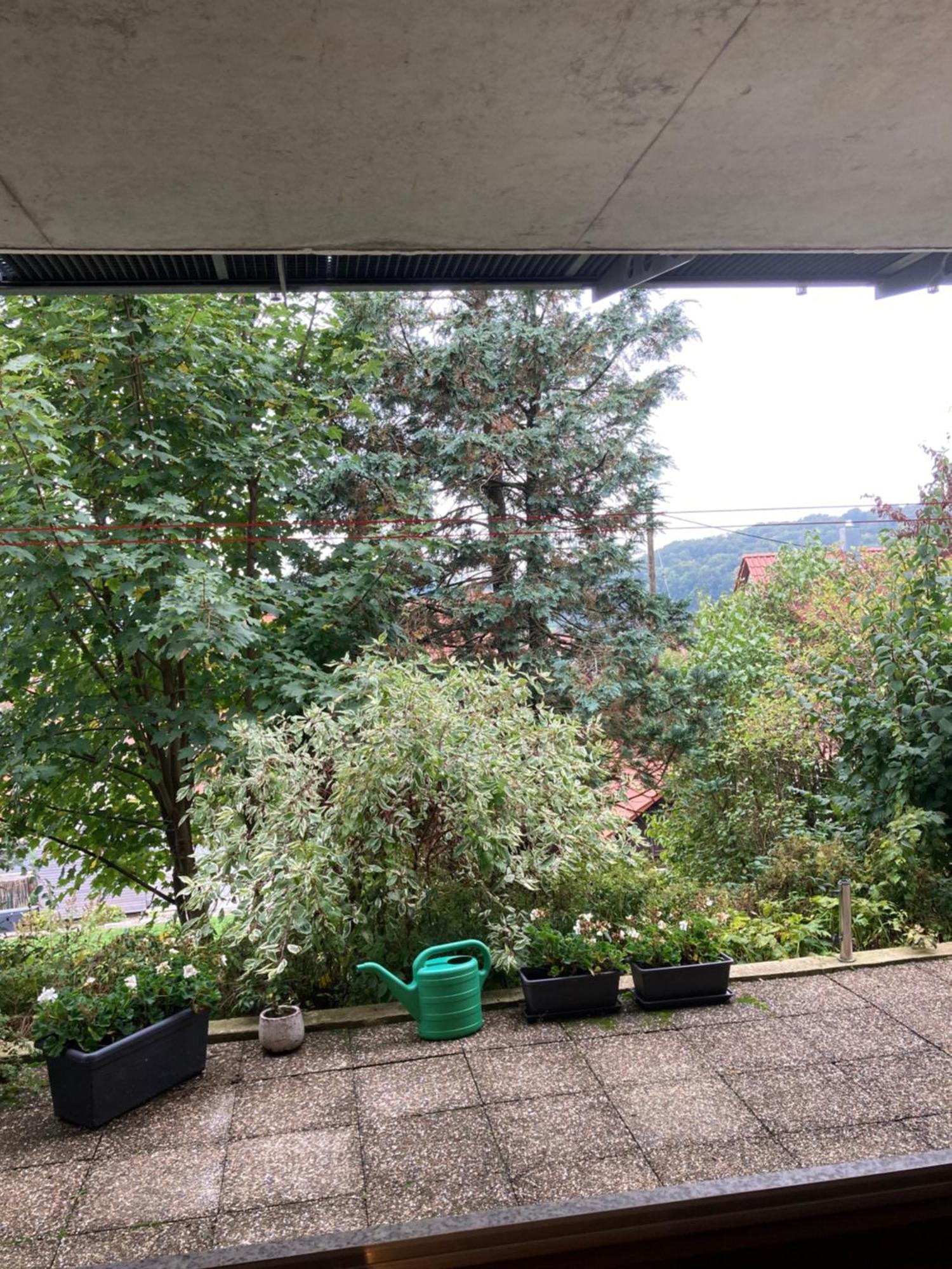 Lichtdurchflutete Ferienwohnung Sankt Johann (Baden-Wurttemberg) Exterior foto